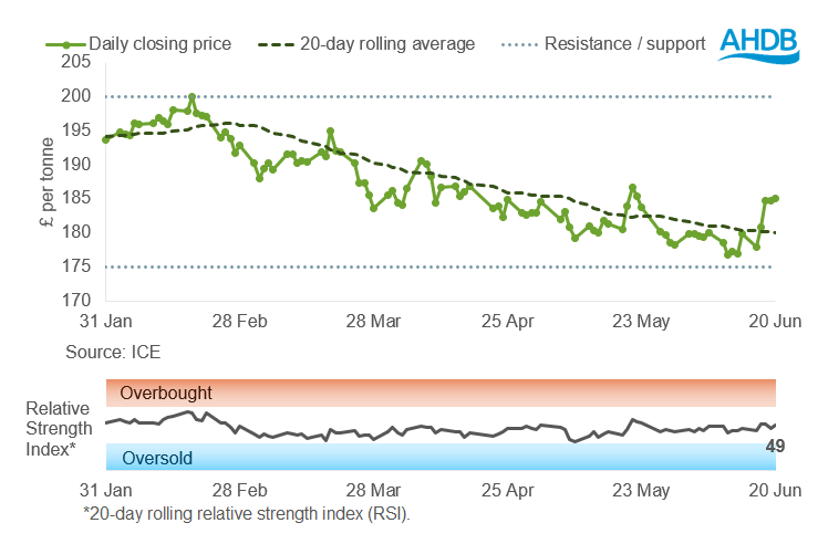 UK feed wheat 23 06 202572